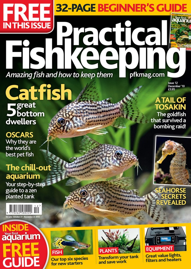 Magazine cover design for 'Practical Fishkeeping' picturing three catfish in a fish tank