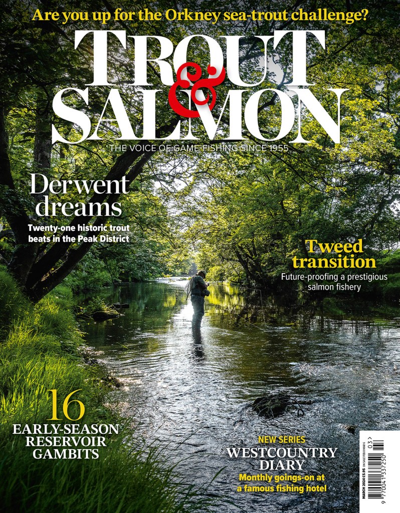 Magazine cover design for 'Trout & Salmon' picturing an angler stood in shallow water under a tree canopy