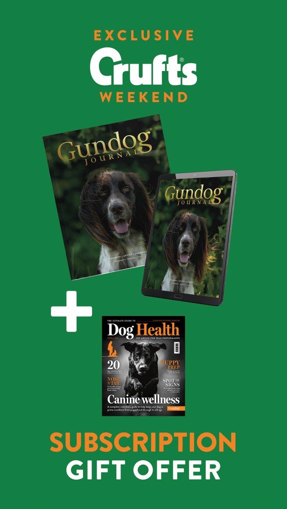 social-media-crufts-instagram-story